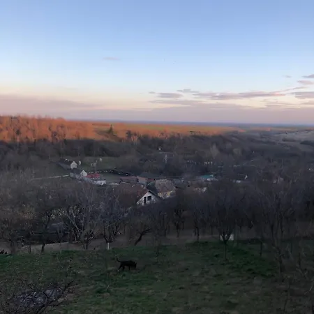 Lezimirski Snovi Apartman Lezimir