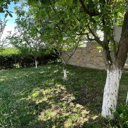 Lezimirski Snovi Lezimir