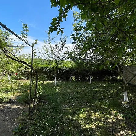 Lezimirski Snovi Apartman